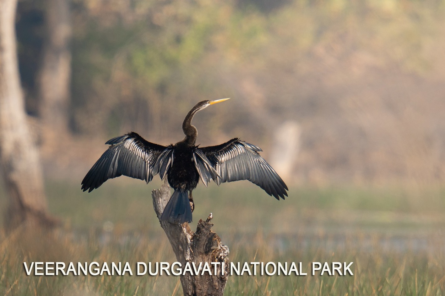 Veerangana Durgavati National Park